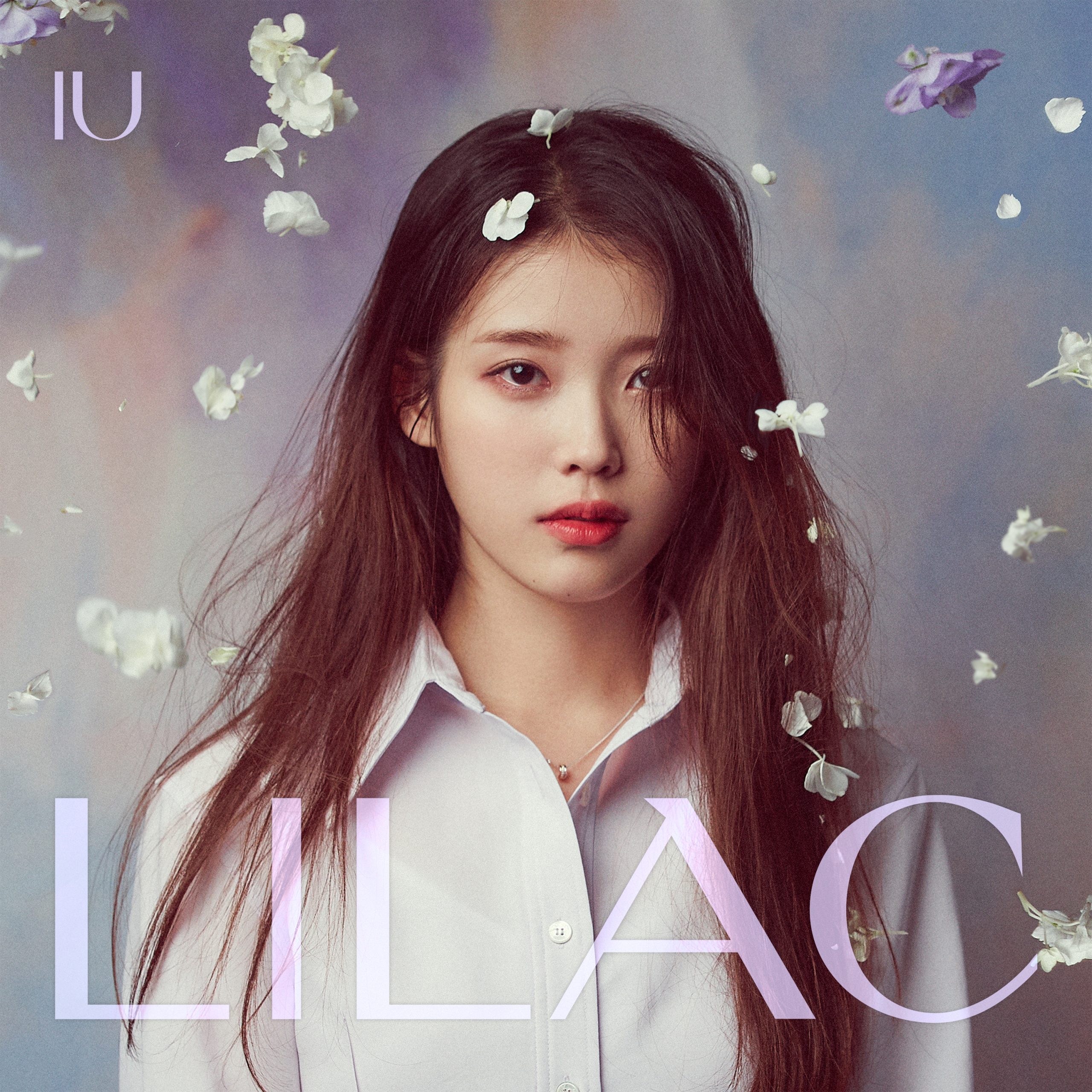 LILAC 라일락