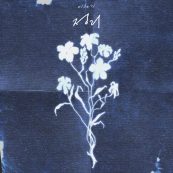 정리 (EMPTY)