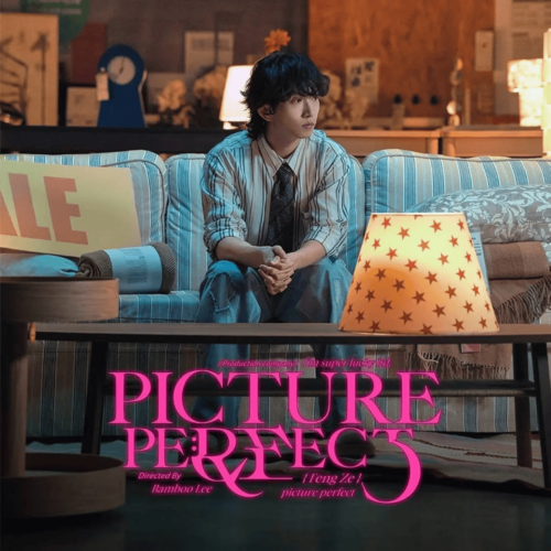Picture Perfect