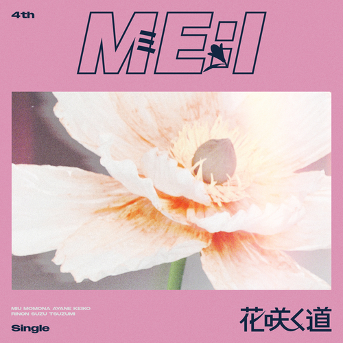花咲く道 (Flower Road)